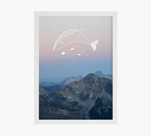 Foto Ballena Art Print