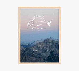 Foto Ballena Art Print