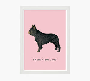 French Bulldog Art Print