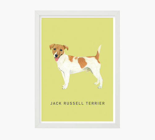 Print Jack Russell Terrier