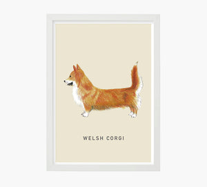 Print Welsh Corgi