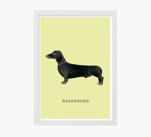 Print Dachshund