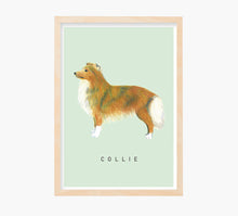 Cargar imagen en el visor de la galería, Colli Art Print