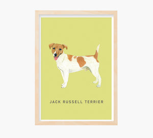 Print Jack Russell Terrier