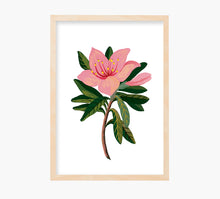 Load image into Gallery viewer, Print Lilium
