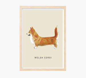 Print Welsh Corgi