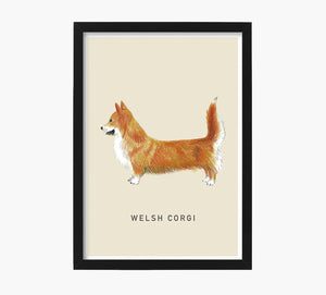 Print Welsh Corgi