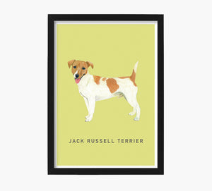 Print Jack Russell Terrier