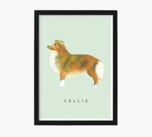 Cargar imagen en el visor de la galería, Colli Art Print