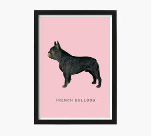 French Bulldog Art Print