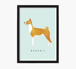 Print Basenji