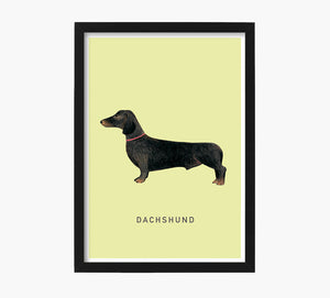 Print Dachshund