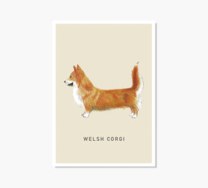 Print Welsh Corgi