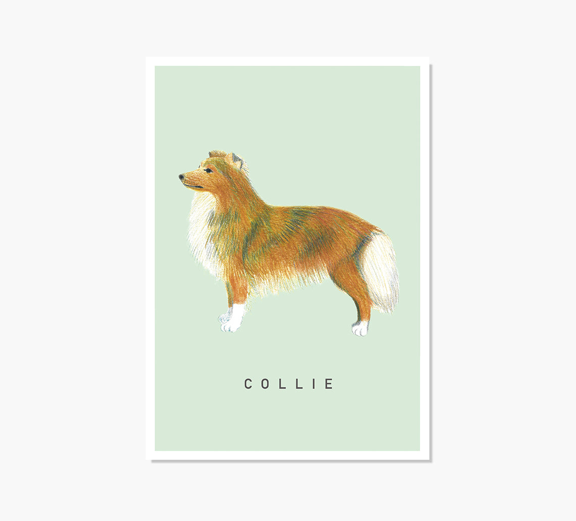 Colli Art Print