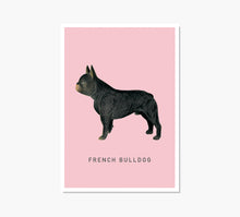 Load image into Gallery viewer, French Bulldog Art Print