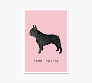 French Bulldog Art Print