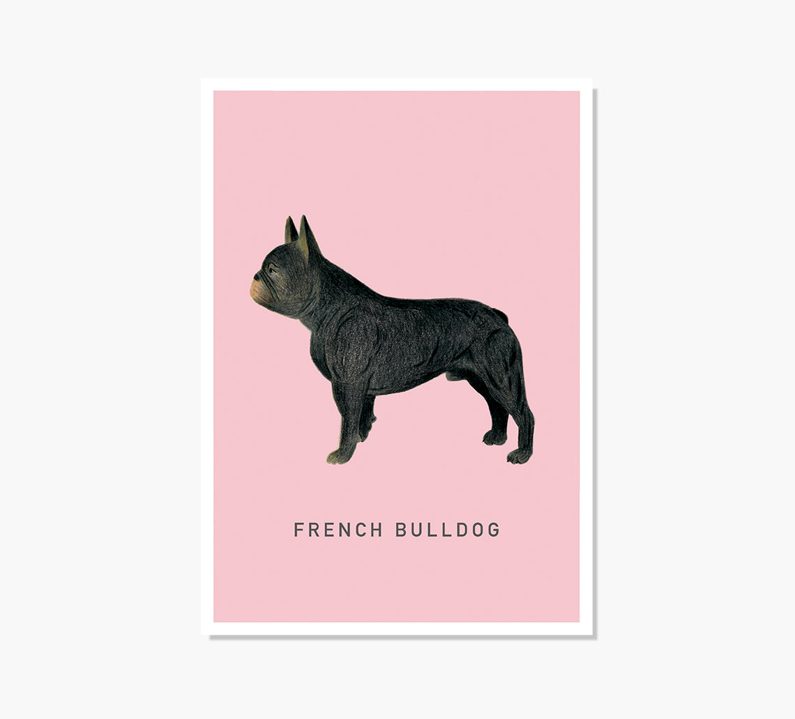 Print French Bulldog