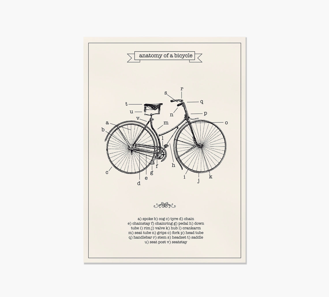 Print Bicycle Anatomy