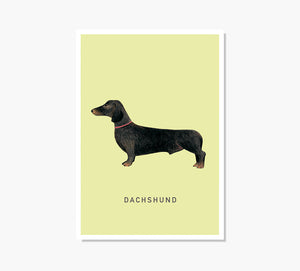 Print Dachshund